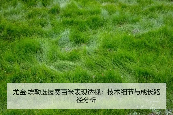 you-jin-ai-lei-xuan-ba-sai-bai-mi-biao-xian-tou-shi-ji-shu-xi-jie-yu-cheng-zhang-lu-jing-fen-xi-2-839.jpg